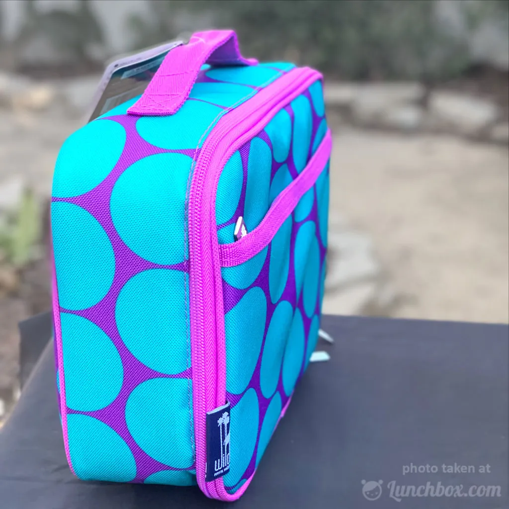 Big Dots - Aqua - Lunchbox