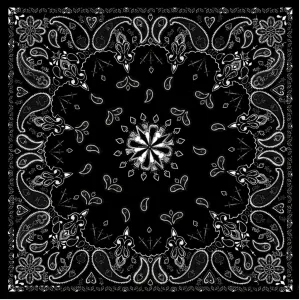Black & White Paisley Bandanna