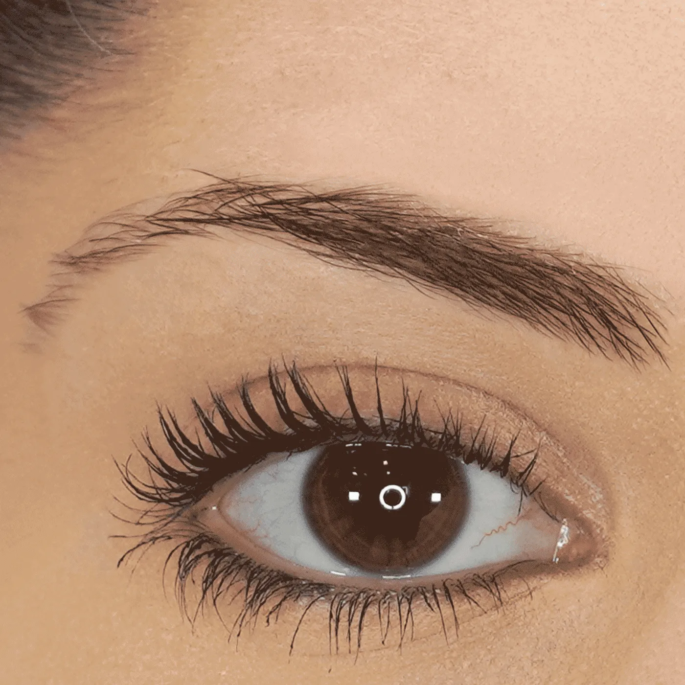Eyebrow Pencil (MSRP $22.00)