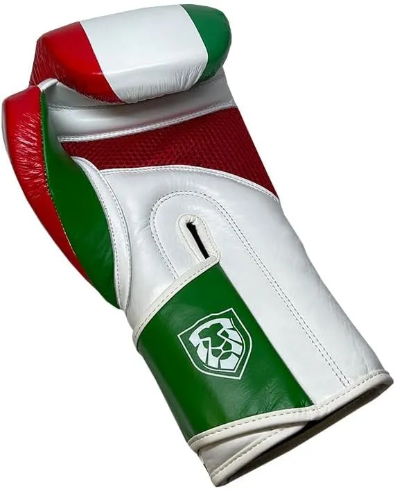 Invincible Fight Gear Standard Hook and Loop Leather Training Boxing
