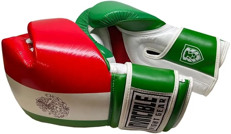Invincible Fight Gear Standard Hook and Loop Leather Training Boxing