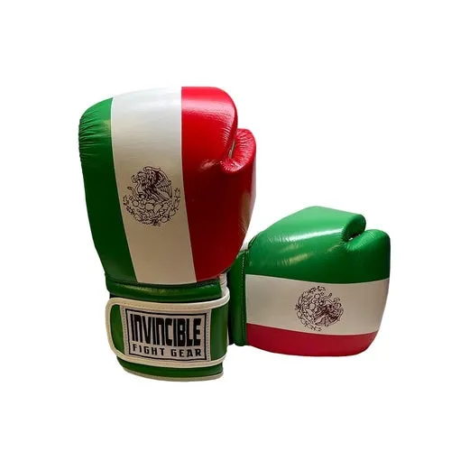 Invincible Fight Gear Standard Hook and Loop Leather Training Boxing