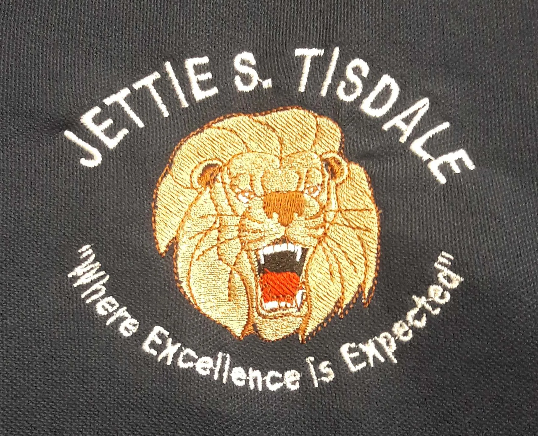 Jettie S. Tisdale Men's Full Zip Heathered Microfleece