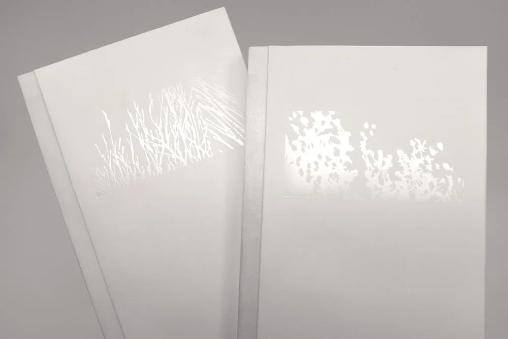 light, contour, & exciting the cell by Nif Hodgson