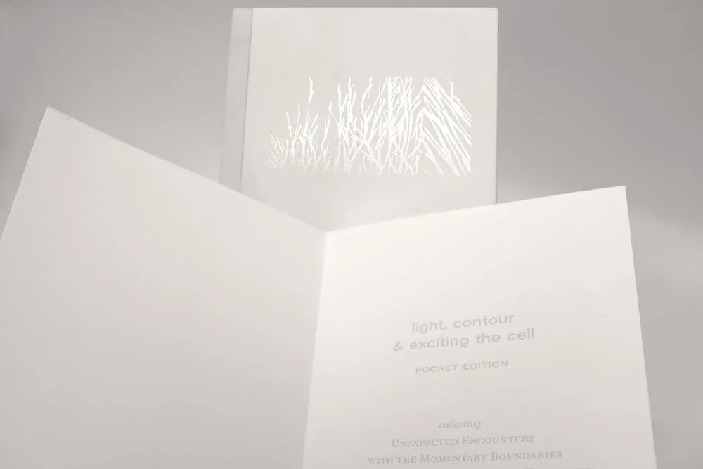 light, contour, & exciting the cell by Nif Hodgson