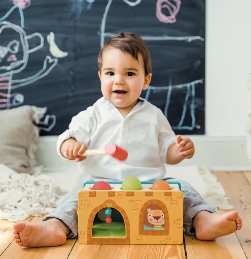 Little Castle Pound and Roll Toy