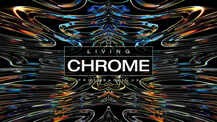 LIVING CHROME 20%OFF