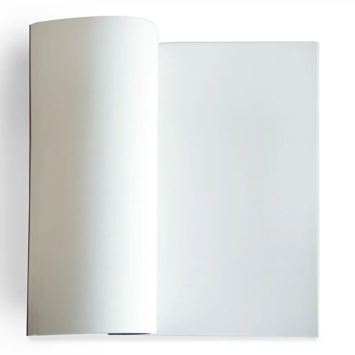 Logo Notebook