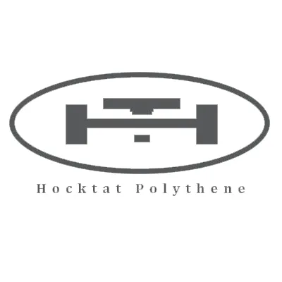 PE BAG (CLEAR2 HOLE HANDLE DIE-CUT) - 0.075mm X 11" X 17.5"
