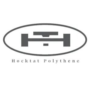 PE BAG (CLEAR2 HOLE HANDLE DIE-CUT) - 0.075mm X 11" X 17.5"