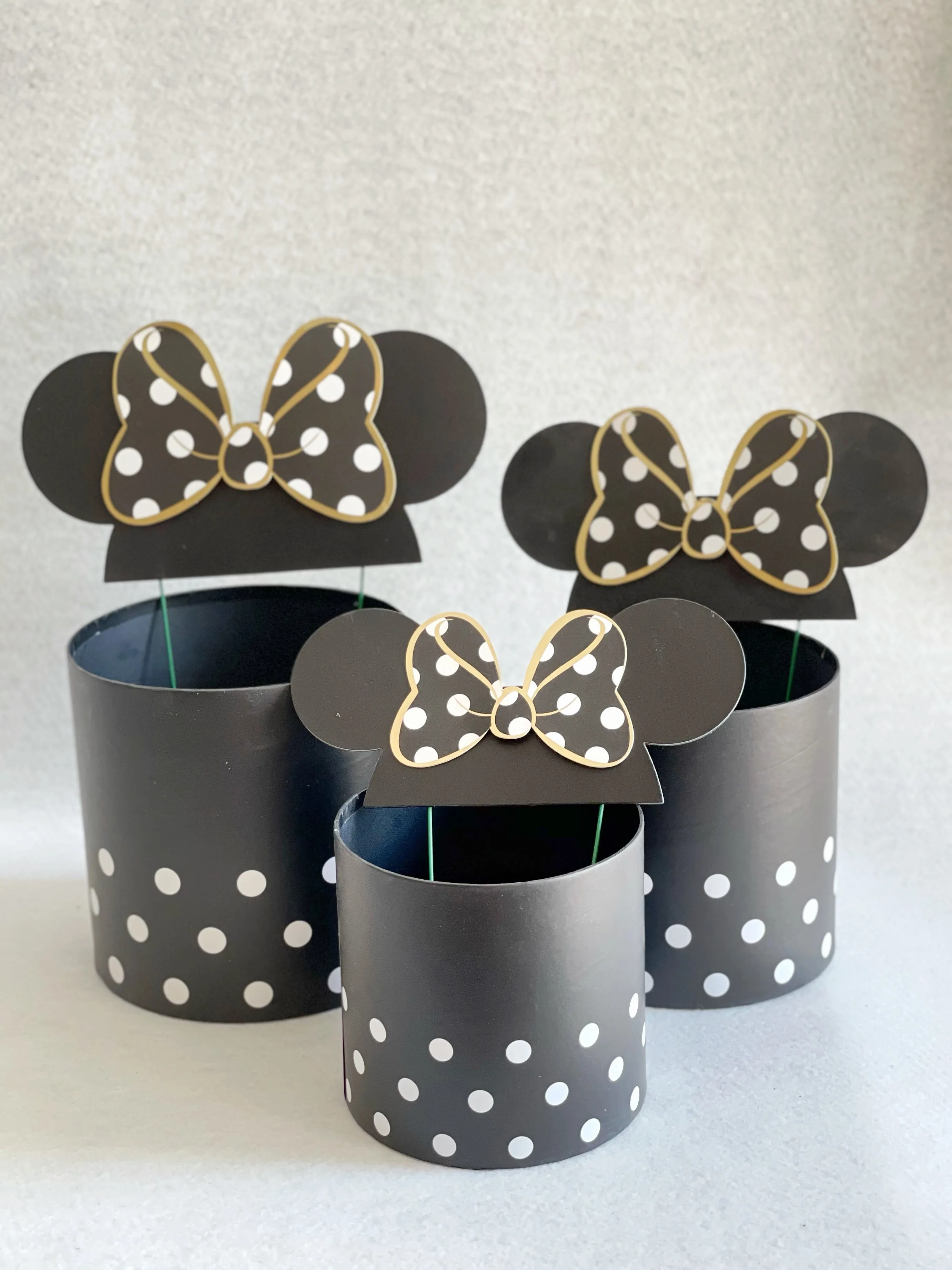 Polka Dot Mickey Mouse Flower/Gift Box in variety size and color