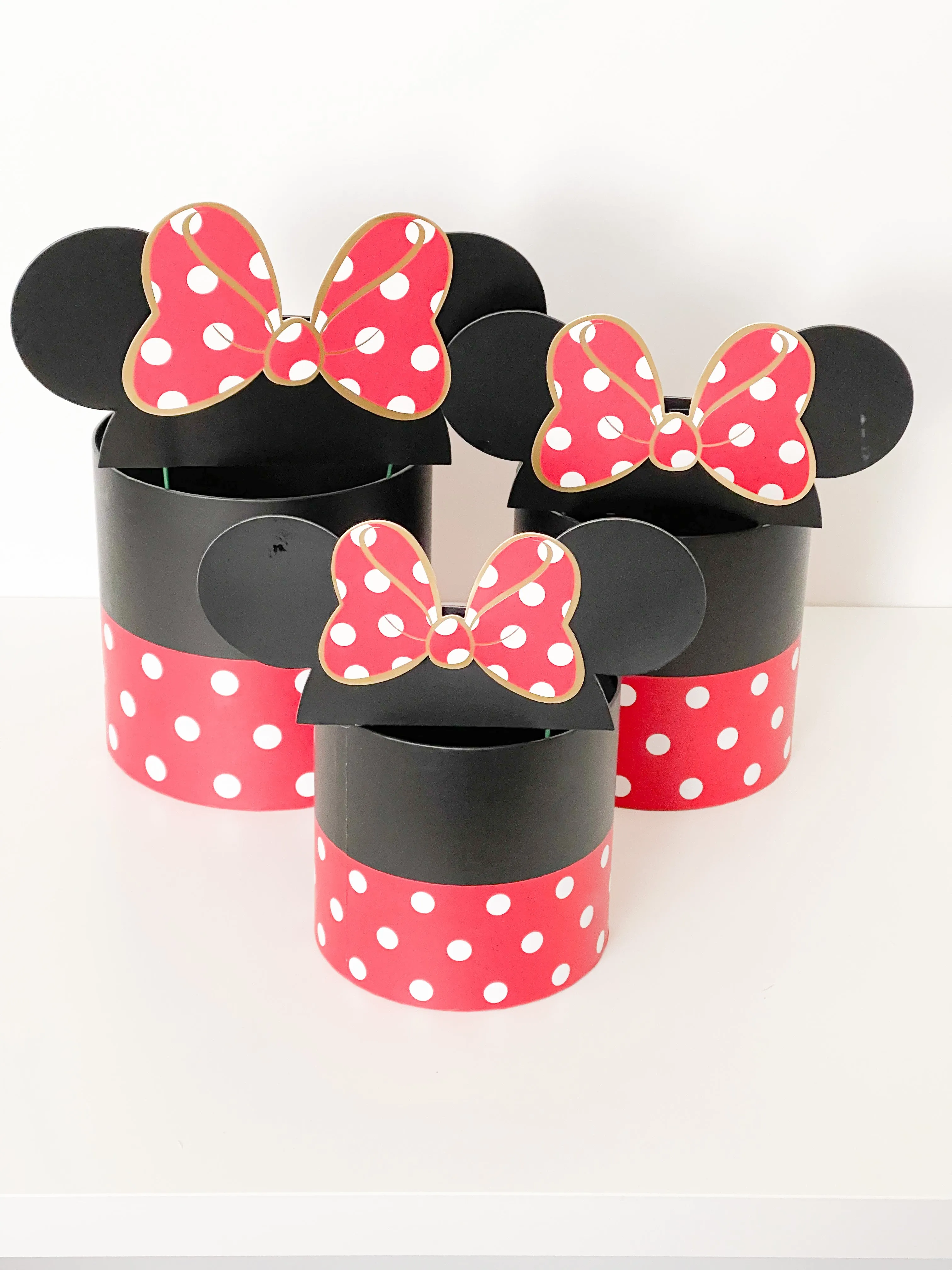 Polka Dot Mickey Mouse Flower/Gift Box in variety size and color