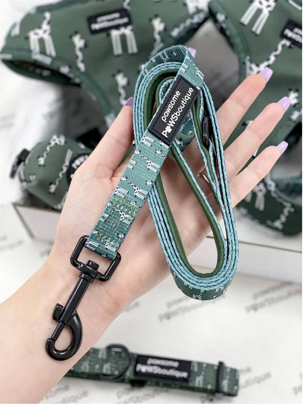 "Gregory the Giraffe" Leash