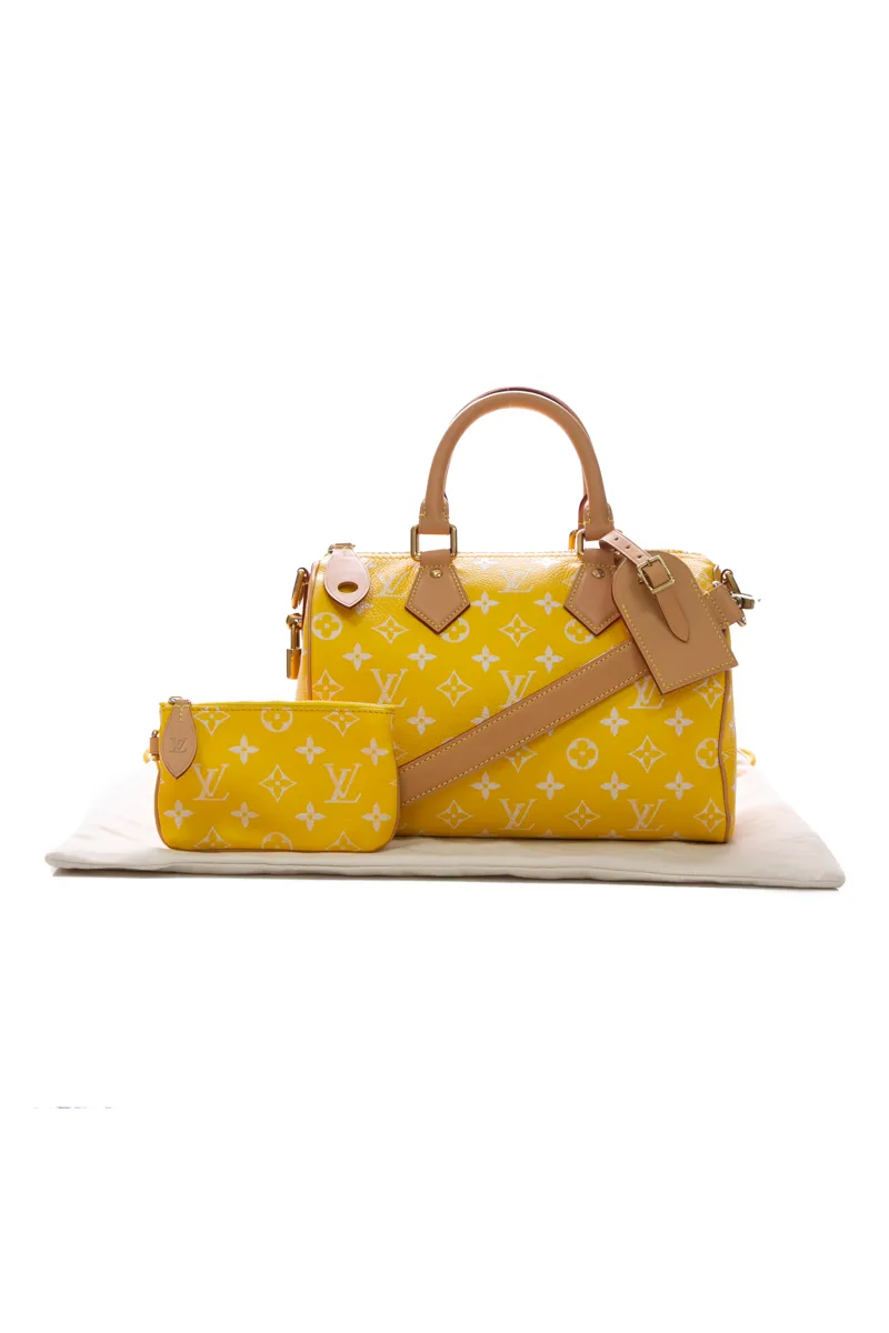 Speedy P9 Bandouliere 25 Bag