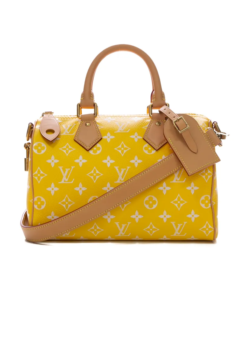 Speedy P9 Bandouliere 25 Bag