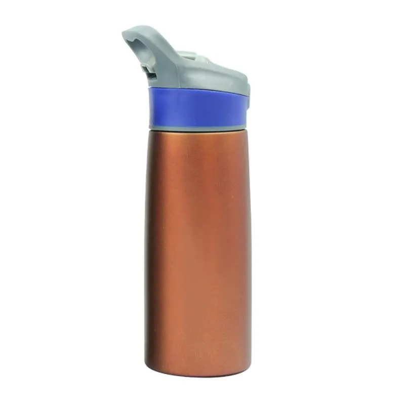 Sports Water Bottle With Push Button Straw (750ml)