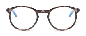 Tortoise Black/Gray