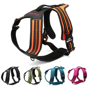True Love Heavy Duty Sports Dog Harness - Blue, L