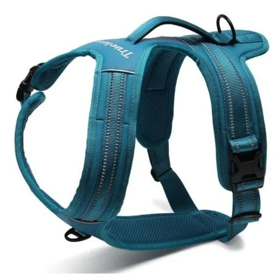 True Love Heavy Duty Sports Dog Harness - Blue, L