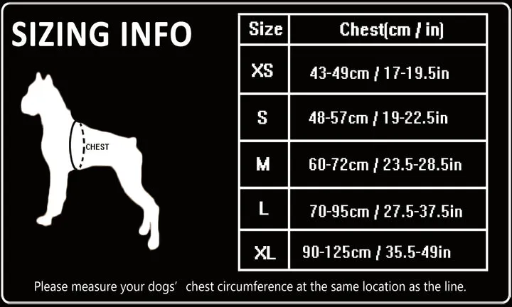 True Love Heavy Duty Sports Dog Harness - Blue, L