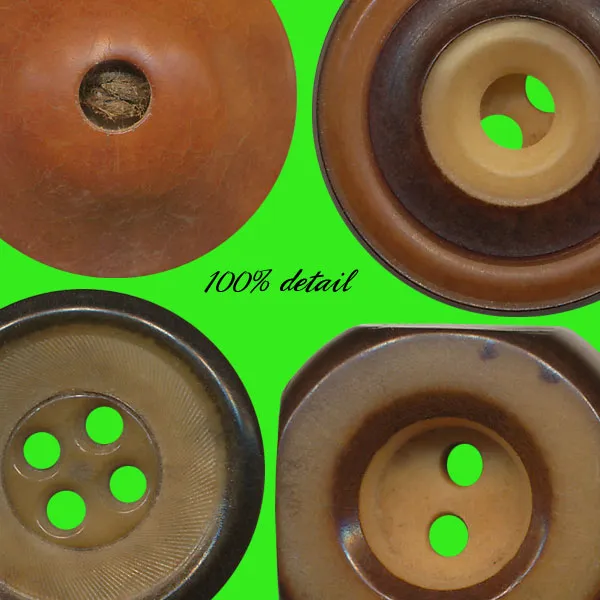 Vegetable Ivory Buttons, Volume 01
