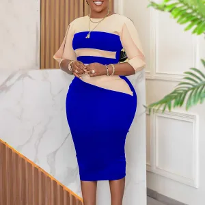 Women's Color Blocking Dress & Women Fashion Color Blocking Pencil Dress